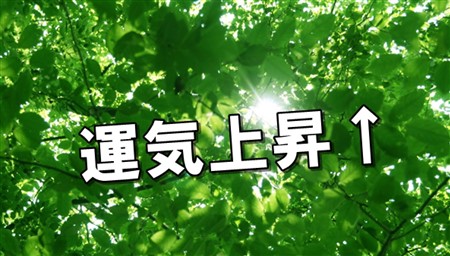 写真の風水で運気アップ！良い撮り方と場所別・効果的な飾り方１１選